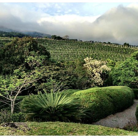 Coffee Garden Ranch Bed&Breakfast Concepcion  Exterior foto
