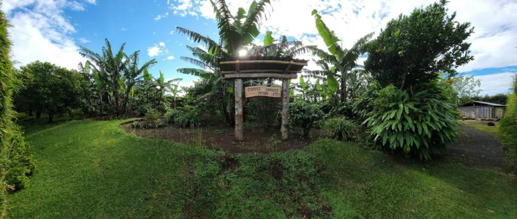 Coffee Garden Ranch Bed&Breakfast Concepcion  Exterior foto