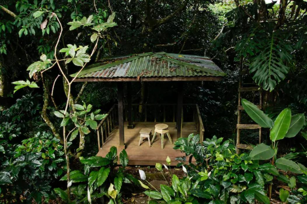 Coffee Garden Ranch Bed&Breakfast Concepcion  Exterior foto