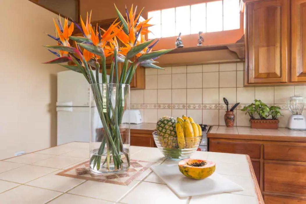 Coffee Garden Ranch Bed&Breakfast Concepcion  Exterior foto