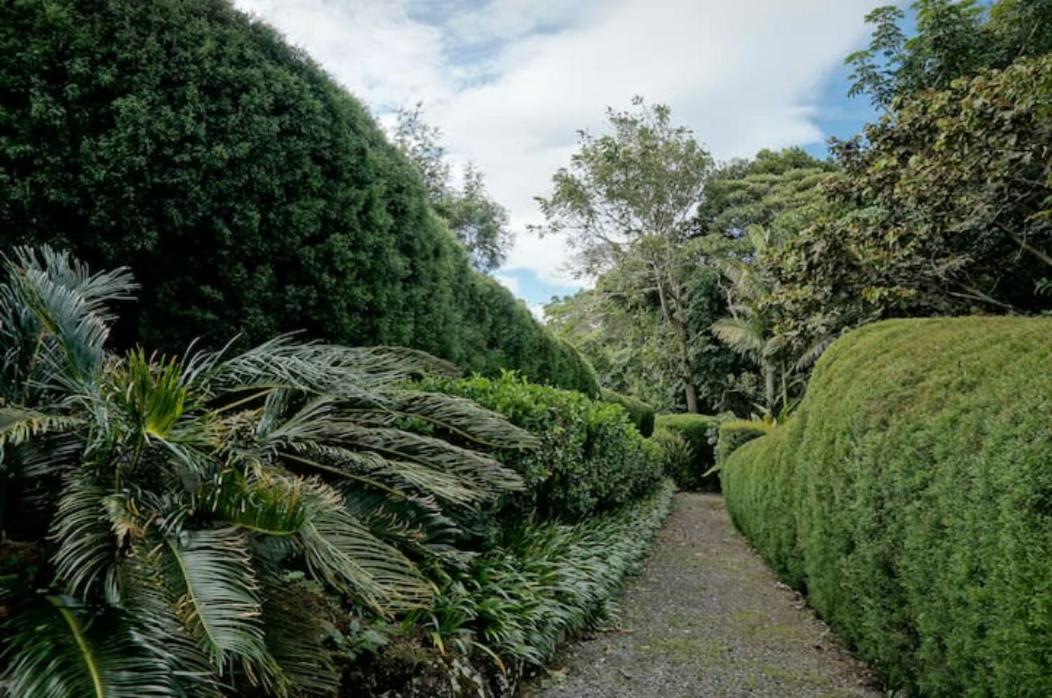 Coffee Garden Ranch Bed&Breakfast Concepcion  Exterior foto