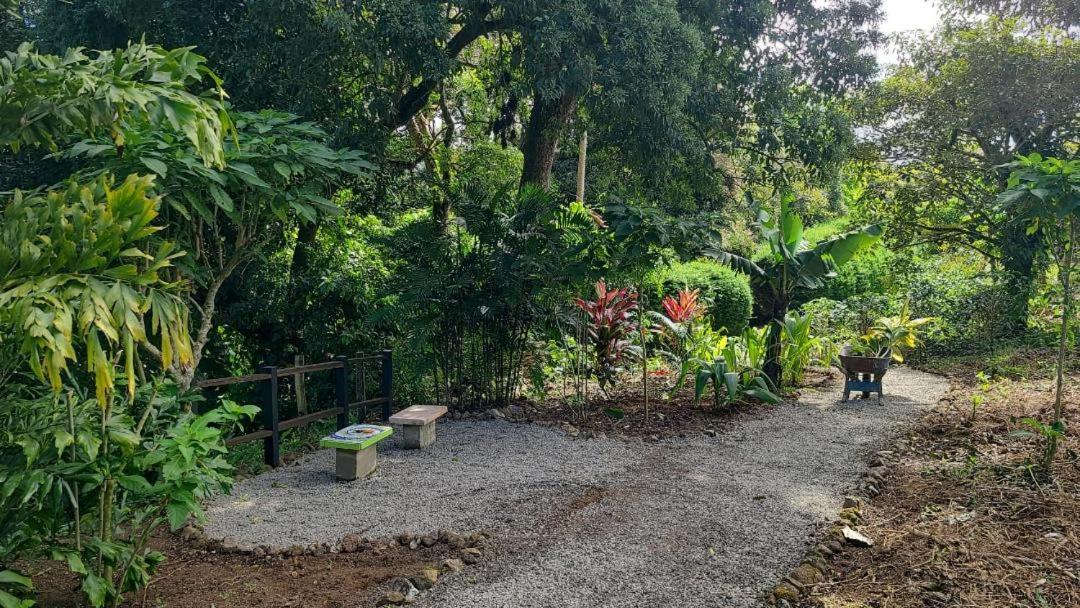Coffee Garden Ranch Bed&Breakfast Concepcion  Exterior foto