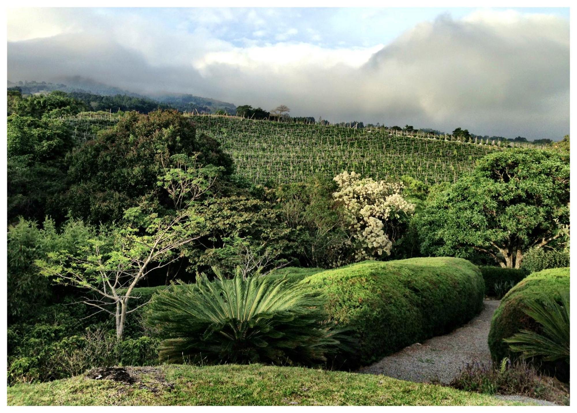 Coffee Garden Ranch Bed&Breakfast Concepcion  Exterior foto